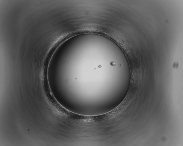 X0000098110112200804041353