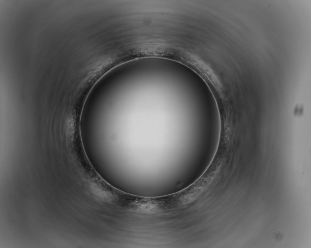 X0000098110113200804041353