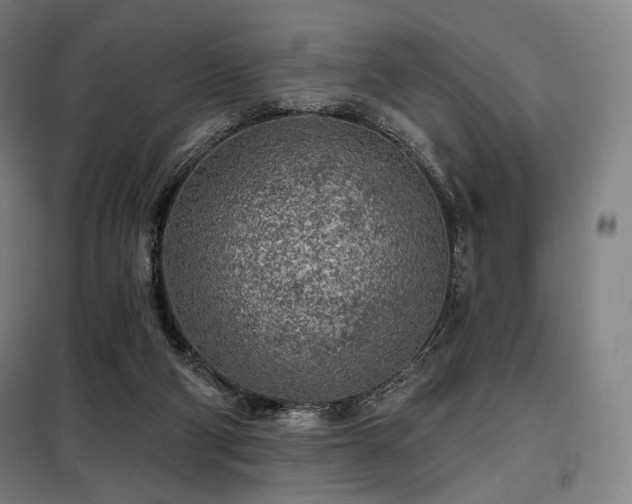 X0000098110114200804041353