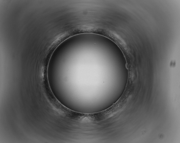 X0000098110115200804041353