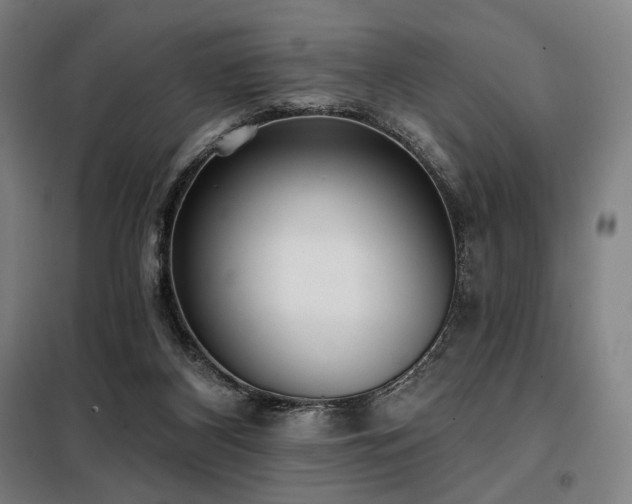 X0000098110116200804041353