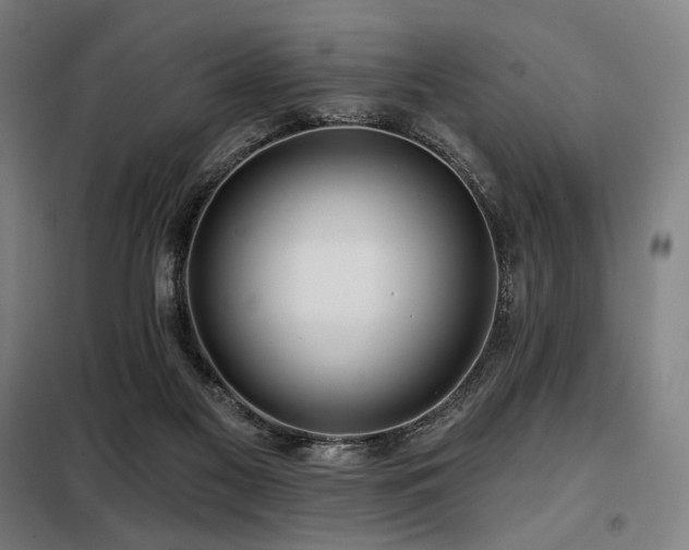 X0000098110117200804041353