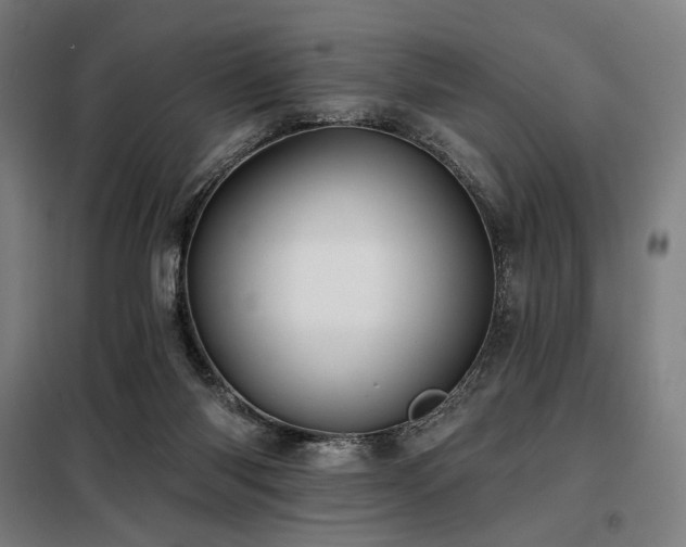 X0000098110118200804041353