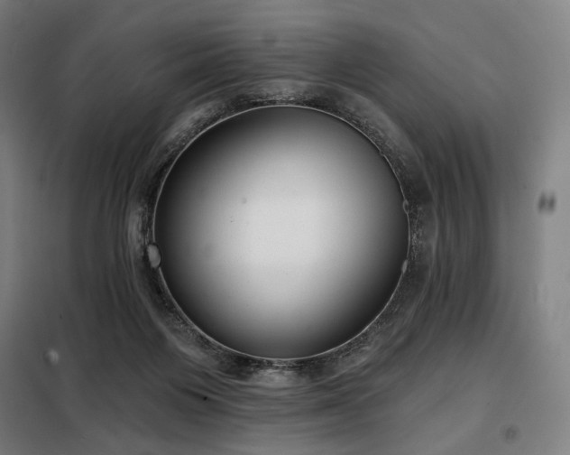 X0000098110119200804041353