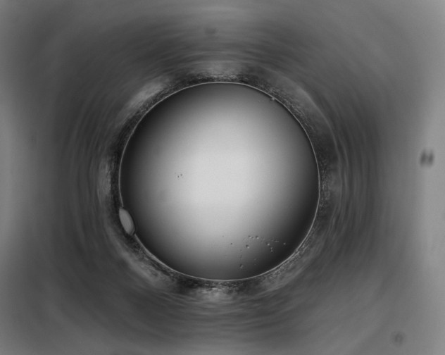 X0000098110120200804041353