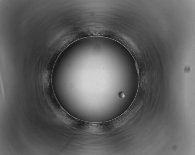 X0000098110121200804041353