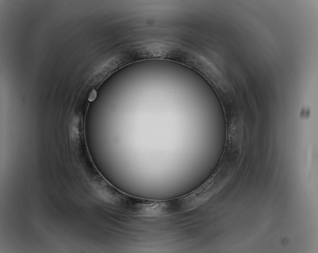 X0000098110122200804041353