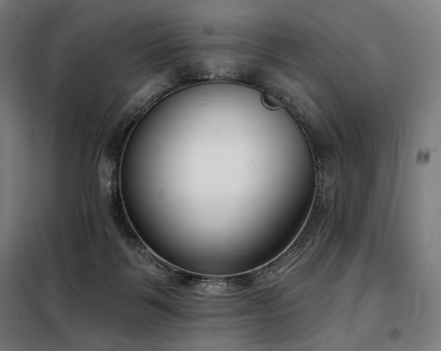X0000098110123200804041353