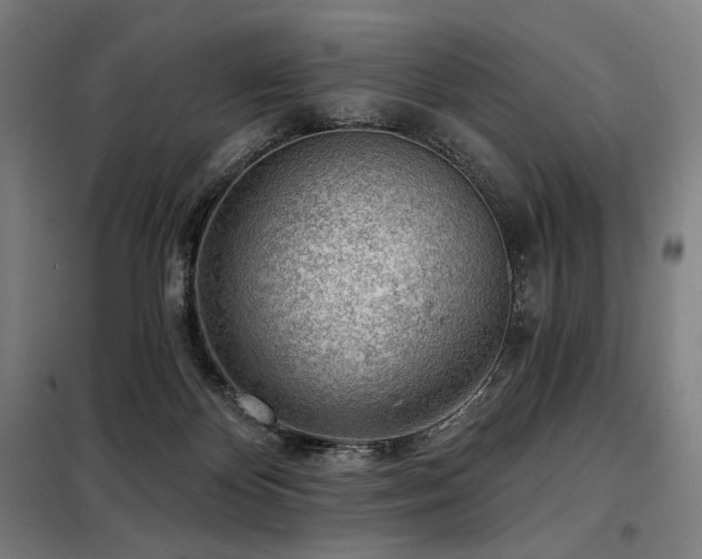 X0000098110124200804041353