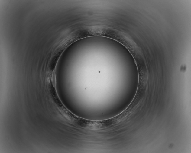 X0000098110125200804041353