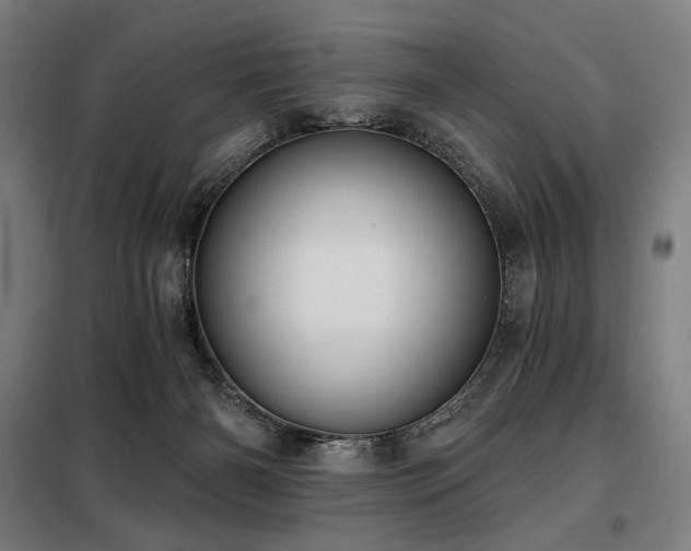 X0000098110126200804041353