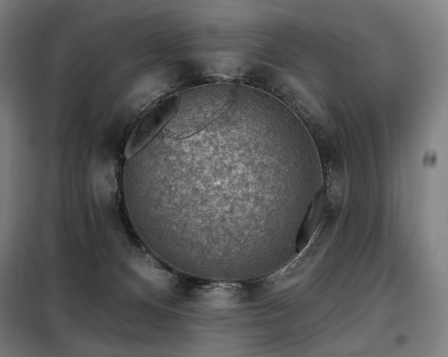 X0000098110128200804041353
