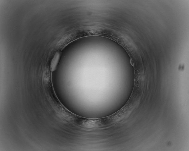 X0000098110129200804041353