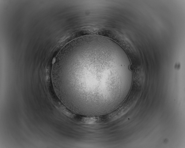 X0000098110131200804041353