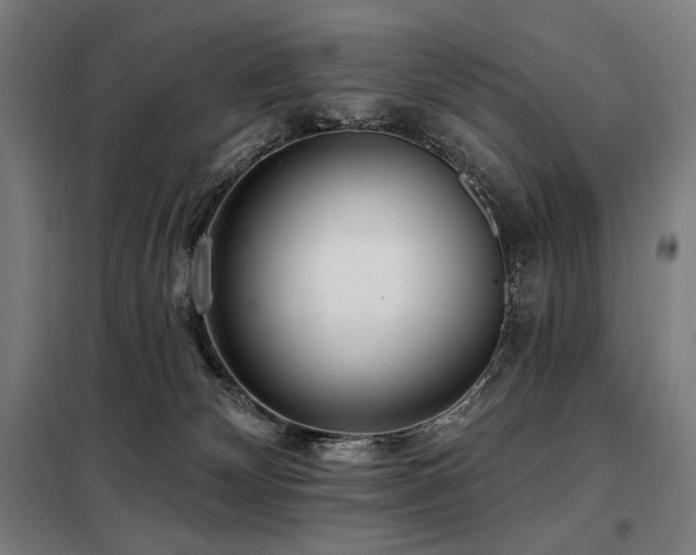 X0000098110132200804041353