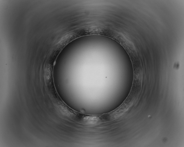 X0000098110133200804041353