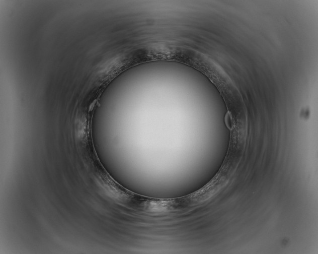 X0000098110134200804041353
