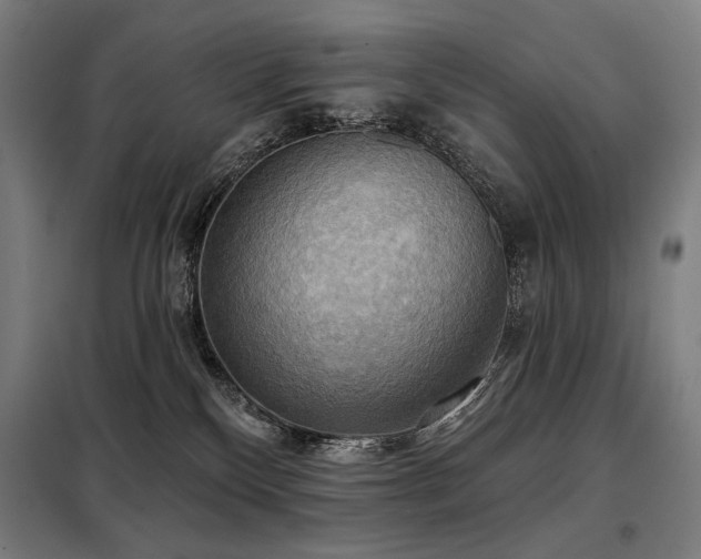X0000098110136200804041353
