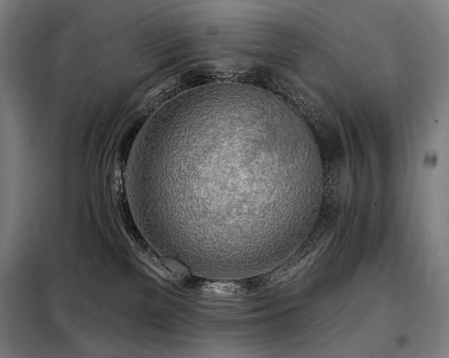X0000098110137200804041353