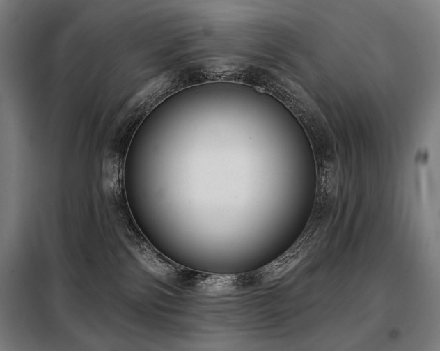 X0000098110138200804041353