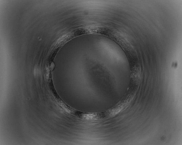 X0000098110139200804041353