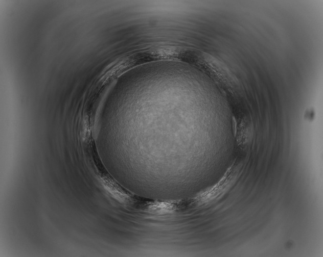 X0000098110140200804041353