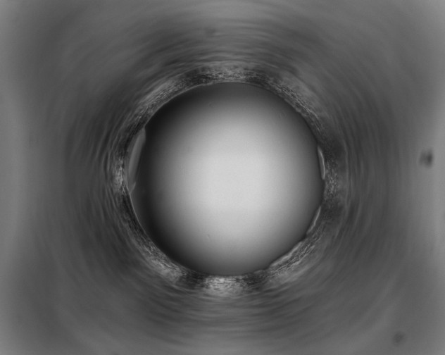 X0000098110141200804041353