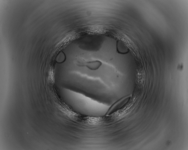 X0000098110143200804041353