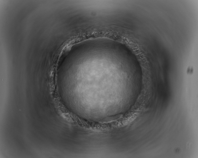 X0000098110144200804041353