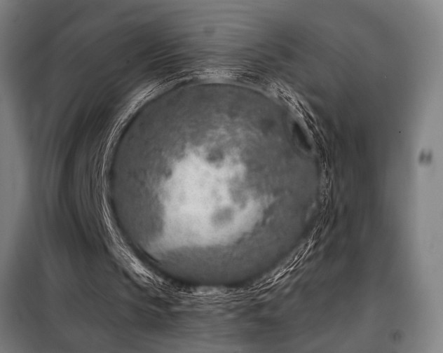 X0000098110145200804041352