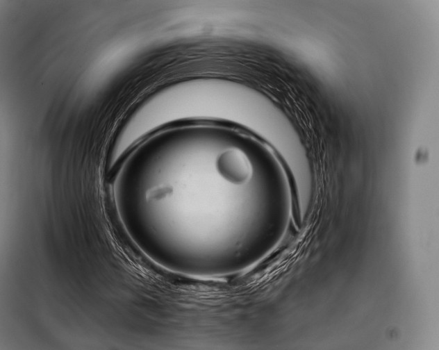 X0000098110146200804041352