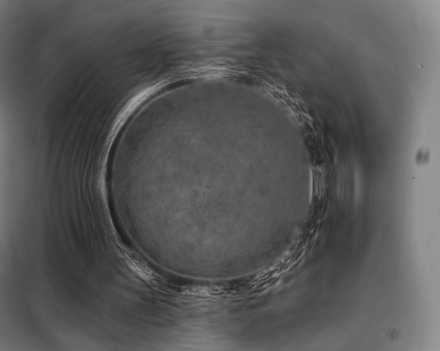 X0000098110147200804041352