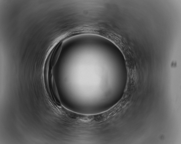 X0000098110148200804041352