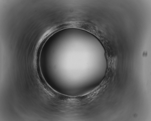 X0000098110150200804041352