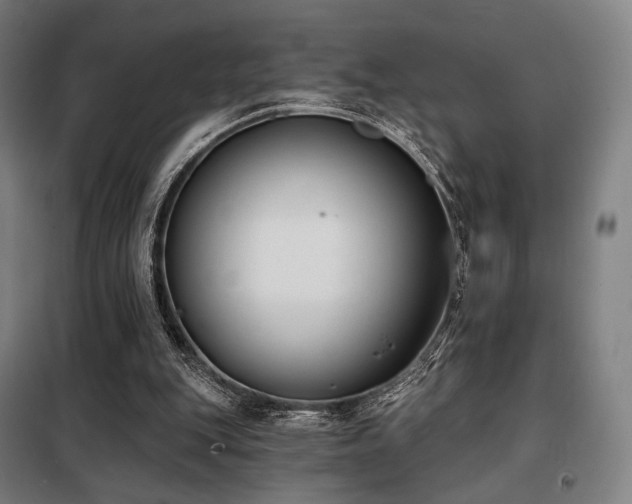 X0000098110151200804041352