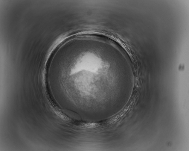 X0000098110152200804041352