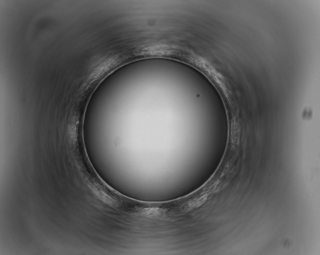 X0000098110153200804041352
