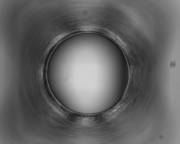 X0000098110155200804041352