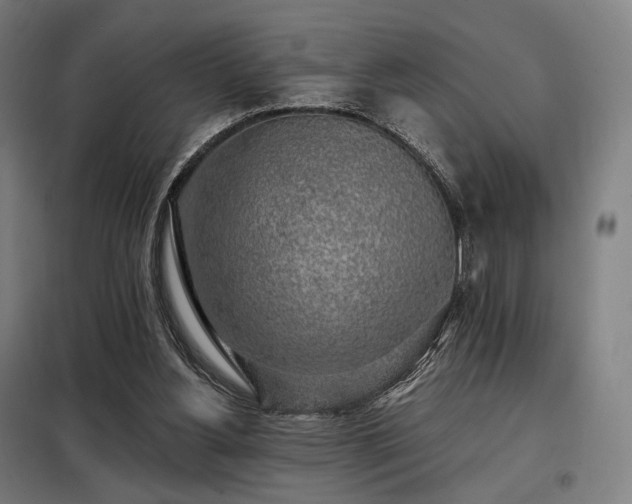 X0000098110156200804041352