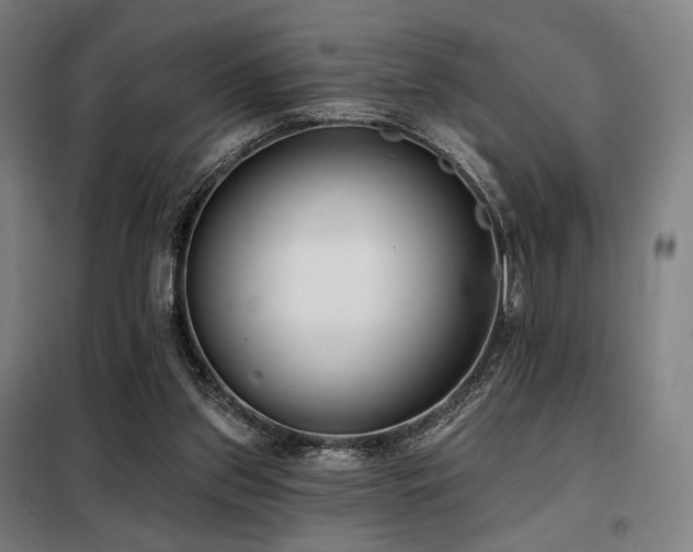 X0000098110157200804041352
