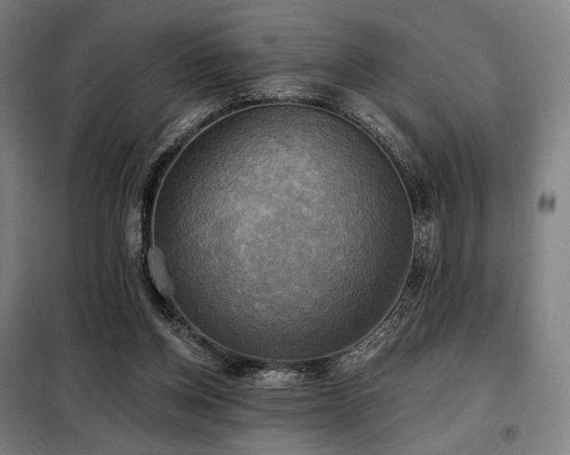 X0000098110158200804041352