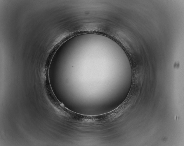 X0000098110160200804041352