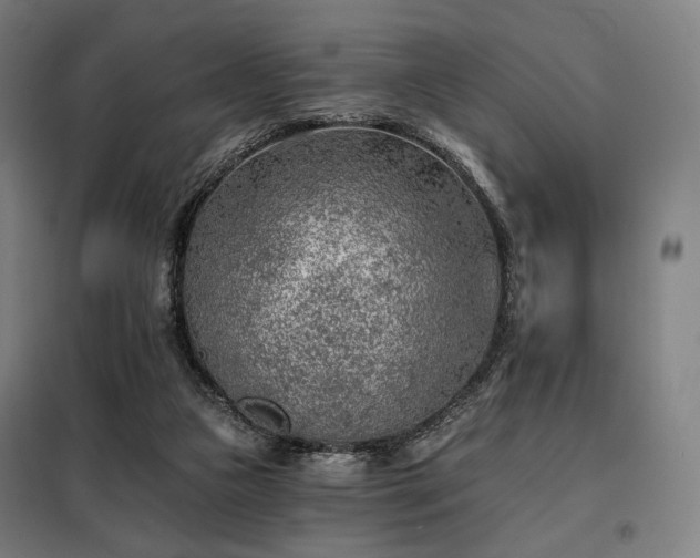 X0000098110161200804041352