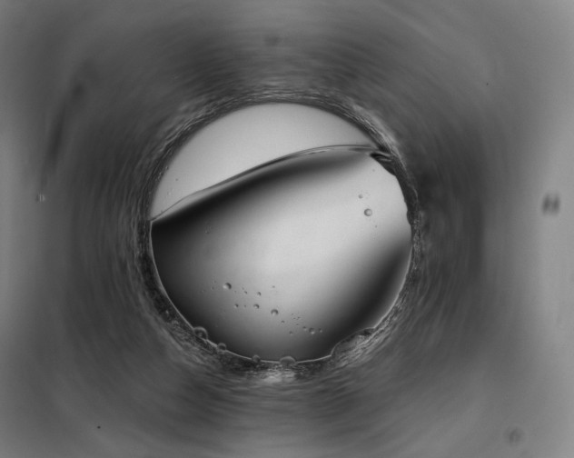 X0000098110162200804041353
