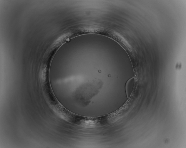 X0000098110163200804041353
