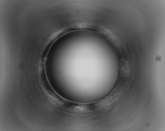 X0000098110164200804041353