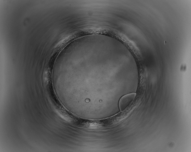 X0000098110165200804041353