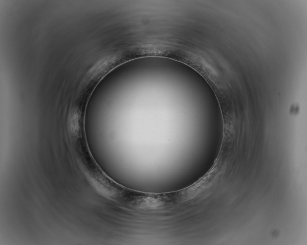 X0000098110166200804041353