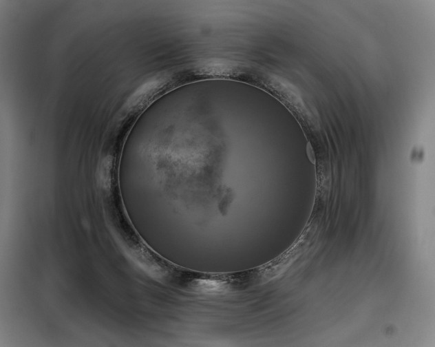 X0000098110167200804041353