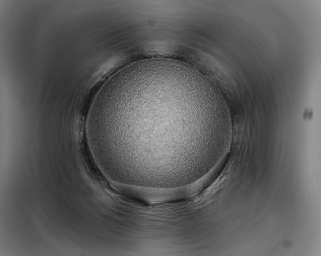 X0000098110168200804041353